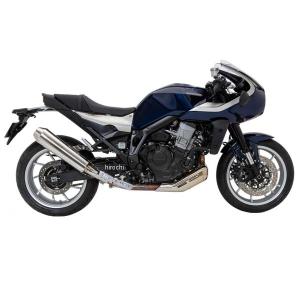 ホンダ HAWK 11 ホーク11 2022-2024 (8BL-SC85) DANMOTO カーボン