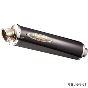 ACTIVE（アクティブ） フロントキャリパーサポート シルバー GPZ1100