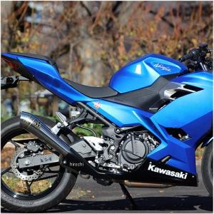 NI1-PB-14 SP忠男 スリップオンマフラー パワーボックス HP 10年以降