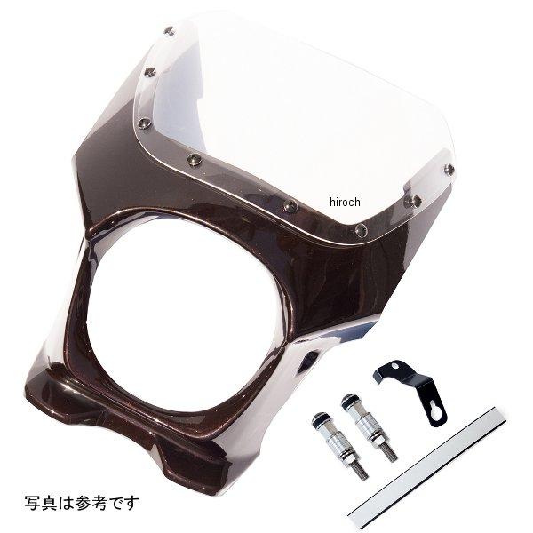 ds-06r-5c ワールドウォーク ビキニカウルR Z900RS 50th・キャンディダイヤモンド...