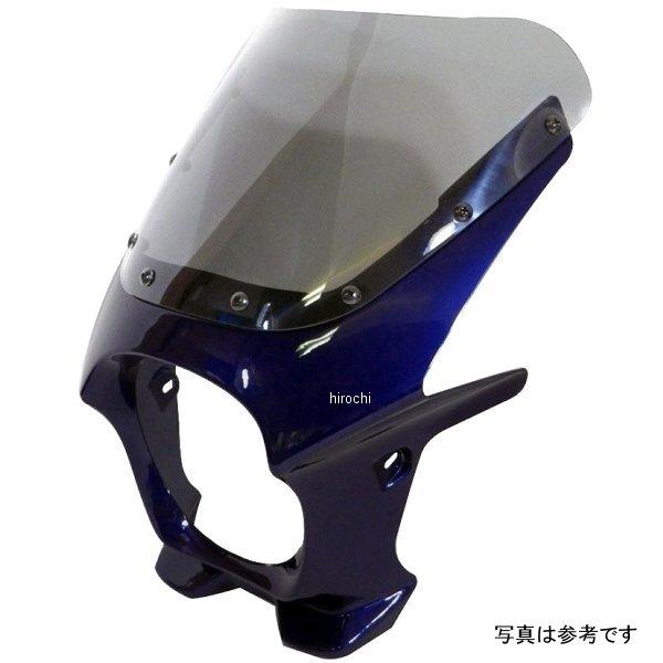 ds-01r-s6 ワールドウォーク 汎用ビキニカウルR キャンディインディブルー/スモーク SP店