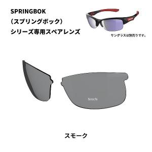 SWANS（スワンズ） L-SPB-0701 SMSI L-SPB-0701 SWANS SPRINGBOK 専用