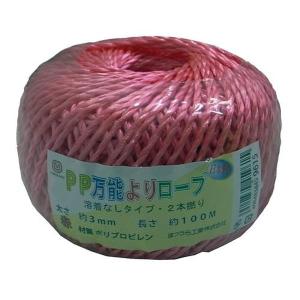 EA628PR-31 エスコ ESCO 3.0mmx100m PPロープ SP店