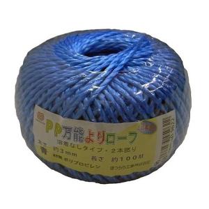 EA628PR-32 エスコ ESCO 3.0mmx100m PPロープ SP店
