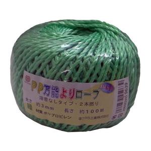 EA628PR-33 エスコ ESCO 3.0mmx100m PPロープ SP店