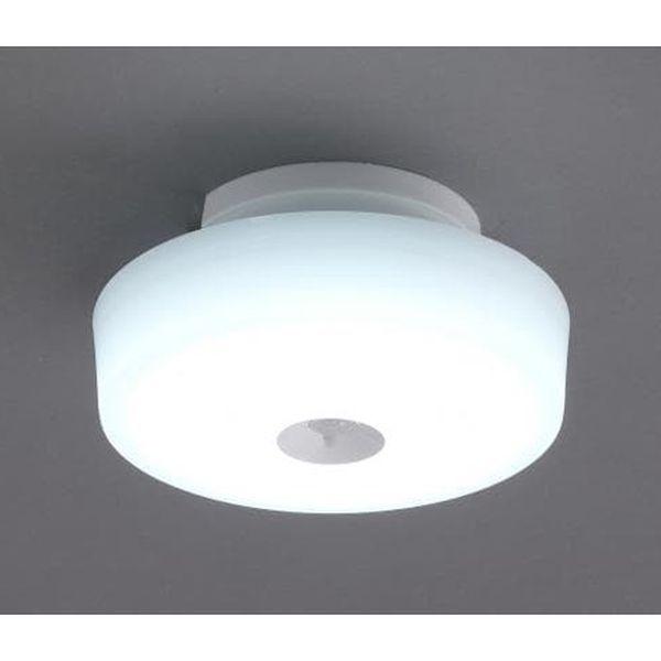 【メーカー在庫あり】 000012329159 エスコ ESCO φ160x54mm シーリングライ...