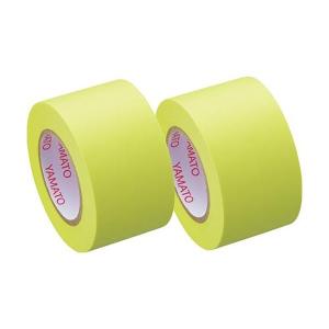 EA762GH-11 エスコ ESCO 25mmx10m 粘着メモテープ SP店