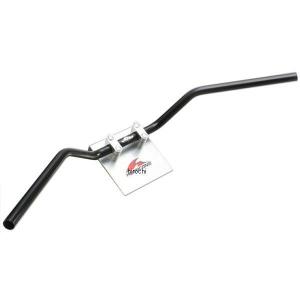 カワサキ ZX6R ZX-6R 2013-2024 LCIPARTS GPチタン スリップオン
