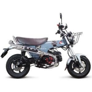 Harley Davidson（ハーレー・ダビッドソン） クローム スポーツスター