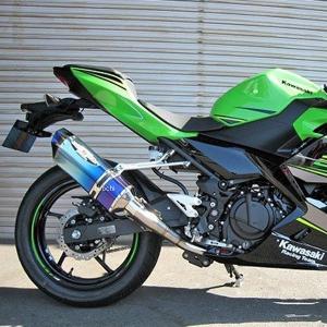 BEET（ビート） ビートジャパン Ninja250 NASSERT-R Evolution Type II