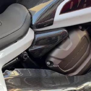 モーターステージ 22125011 ドライカーボン マフラーヒートガード 21年