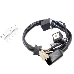 バイク用品 KAWASAKI カワサキ 純正パーツ コイル パルシング 59026