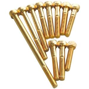 811640-028 ポッシュ POSH ステンレスキャップボルト 24Kメッキ M6X28 2本入り JP店