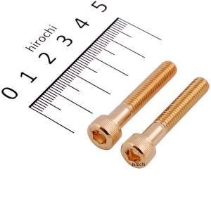 811640-035 ポッシュ POSH ステンレスキャップボルト 24Kメッキ M6x35 2個入り JP店