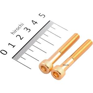 811640-040 ポッシュ POSH ステンレスキャップボルト 24Kメッキ M6x40 2個入り JP店