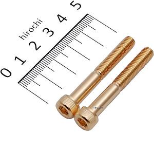 811640-045 ポッシュ POSH ステンレスキャップボルト 24Kメッキ M6x45 2個入り JP店