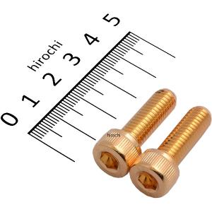 811650-025 ポッシュ POSH ステンレスキャップボルト 24Kメッキ M8X25 2本入り JP店