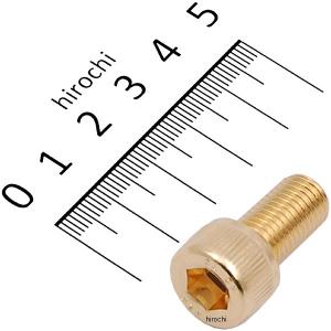 811660-020 ポッシュ POSH ステンレスキャップボルト 24Kメッキ M10X20 1本入り JP店