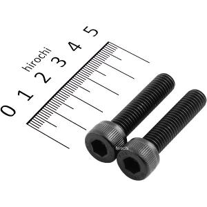 831650-035 ポッシュ POSH ステンレスキャップボルト STDタイプ M8x35 P1.25 2個入り 黒 JP店