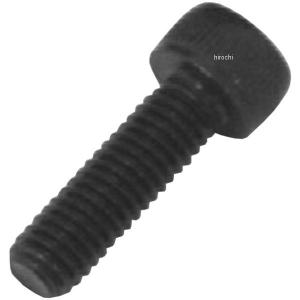 831700-012 ポッシュ POSH ステンレスキャップボルト STDタイプ M4x12 P0.7 2個入り 黒 JP店