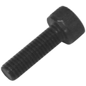 831710-010 ポッシュ POSH ステンレスキャップボルト STDタイプ M5x10 P0.8 2個入り 黒 JP店