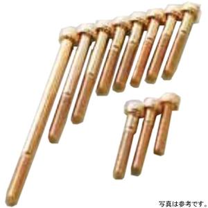 858836 ポッシュ POSH クランクケースカバーネジセット クロスカブ50 24Kメッキステンレス JP店