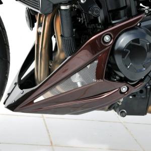 TEASER TCK01G TANK COVER [DRY CARBON HG] Kawasaki Z1000 (10-13