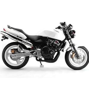 ホーネット250 リアライズ　スリップオンマフラー HORNET 250 | Aria（アリア）スリップオン | Ti | Type-S