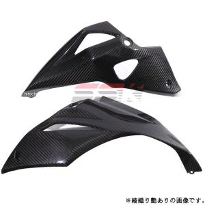 TEASER TCK01G TANK COVER [DRY CARBON HG] Kawasaki Z1000 (10-13