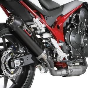 バイク マフラー ストライカー レーシングコンセプト チタン