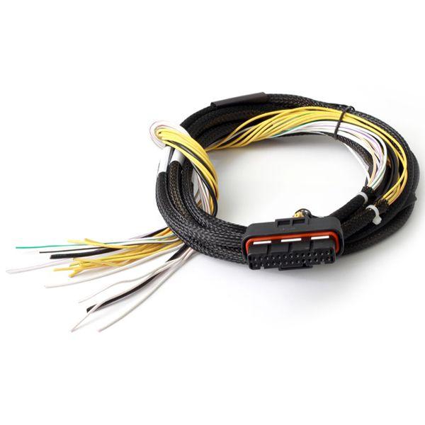 【USA在庫あり】 halHT-040025 Haltech HPI8 High Power Ign...