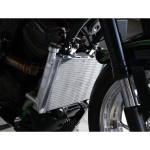 RZ250/350用 ラジエターカバー ステンレス製 【ゼス】 : ミズノ