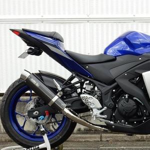 AKRAPOVIC（アクラポビッチ） 送料無料 レーシングライン ステン