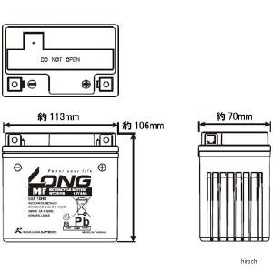 【即納】 WTZ6VIS ロング LONG バ...の詳細画像1
