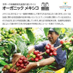 ドリップコーヒー「オーガニック メキシコ 1袋...の詳細画像5
