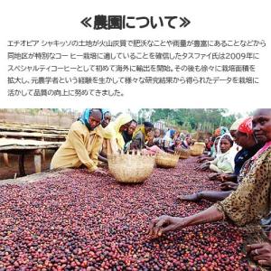 ドリップコーヒー「デカフェ オーガニックモカ(...の詳細画像5