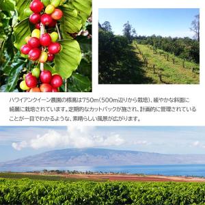 「ハワイコナ ハワイアンクイーン農園 100g...の詳細画像5