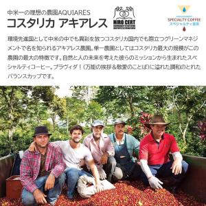 「コスタリカ アキアレス農園 100g 864...の詳細画像5
