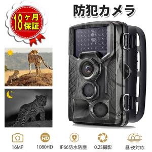 トレイルカメラ 野外 防犯 カメラ 狩猟モニターカメラ 720P録画 800万画素カメラ 動体検知 暗視カメラ ビデオレコーダー 佐川急便
