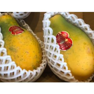 パパイヤ宮崎産
