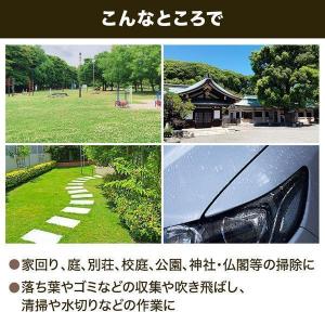 ブロワー エンジン式 ブロワ ブロアー ブロア...の詳細画像4