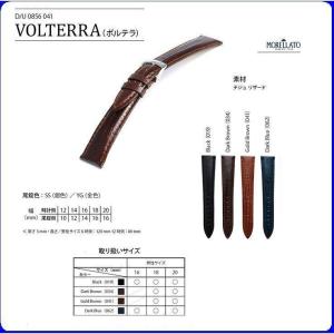 MORELLATO◎Volterra（ボルテラ：男性サイズ）・高級品とされるテジュ リザードを使用したモデル〔U0856041〕｜hiroitokeigankyouten