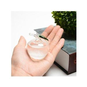 オブジェ 置き物 スモールクリスタル ストームグラス ガラス インテリア 置物 オブジェ リンゴ アップル バード 鳥｜hiromori2-shop