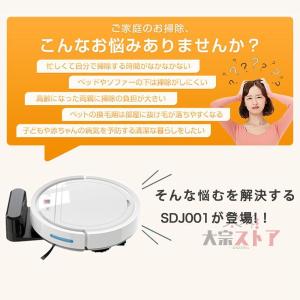 ロボット掃除機 お掃除ロボ 水拭き 3000P...の詳細画像2