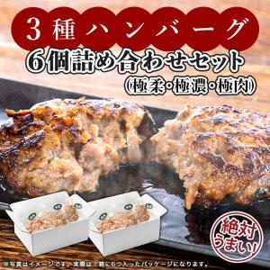 ３種ハンバーグ６個詰め合わせセット（極柔・極濃・極肉）｜hirookameat