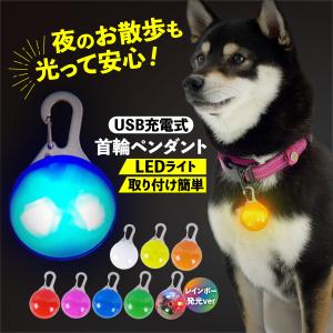 首輪 光る 光る首輪 犬 LED ペンダント 充電式 USB ライト ランニング ウォーキング 散歩 事故防止 ペットの商品画像
