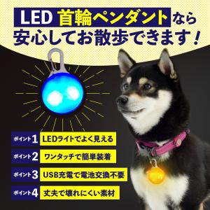 首輪 光る 光る首輪 犬 LED ペンダント ...の詳細画像2