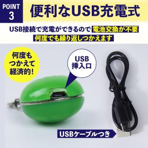 首輪 光る 光る首輪 犬 LED ペンダント ...の詳細画像5