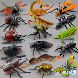 子供のコレクションのための16個のリアルなプラスチック昆虫フィギュアおもちゃのバグモデル｜hirorafu-store