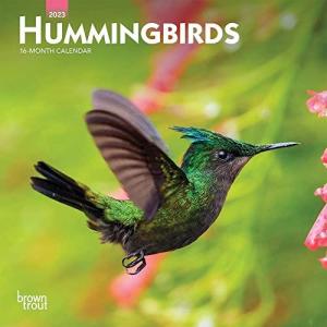 Hummingbirds   2023 7 x 14 Inch Monthly Mini Wall Calendar   BrownTrout   A